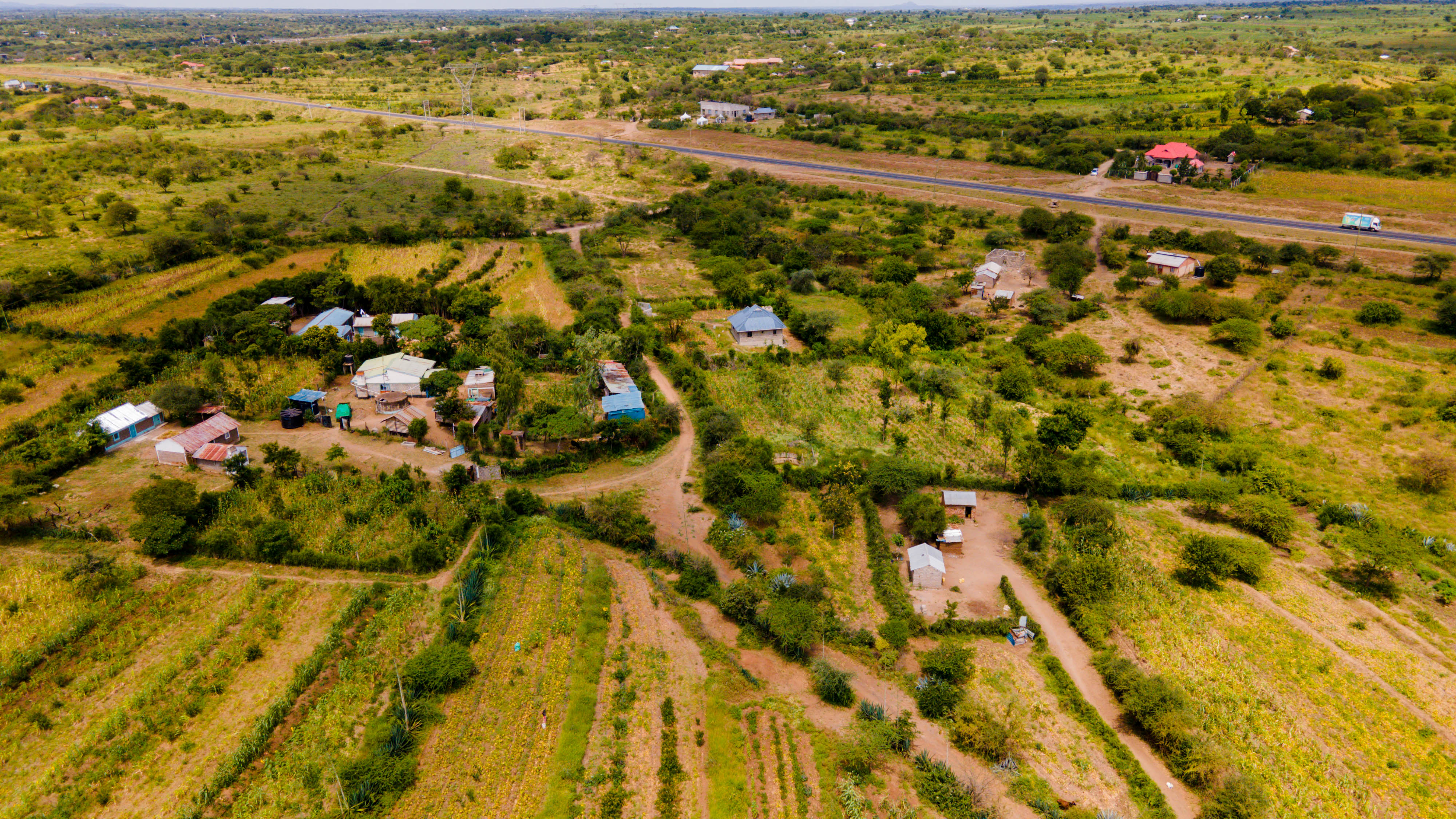 Baraka Gardens, Nguutani