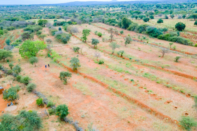 BARAKA GARDENS , PHASE 11