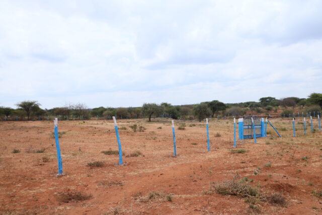 NEEMA GARDENS, PHASE 6